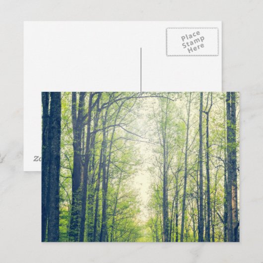 Mystischer Wald Postkarte (Vorne/Hinten)