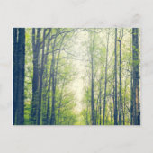 Mystischer Wald Postkarte (Vorderseite)