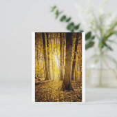 Mystischer Wald Postkarte (Stehend Vorderseite)
