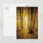 Mystischer Wald Postkarte (Vorne/Hinten)