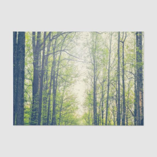 Mystischer Wald Seidenpapier (Vorderseite)