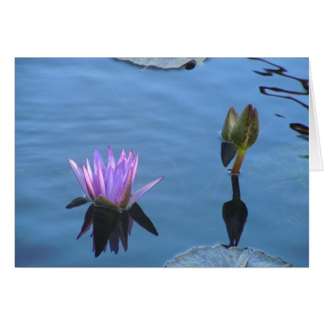 Mystisches Wasser (Vorderseite (Horizontal))