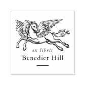 Mythische Pegasus-Illustration Ex Libris Buch Permastempel (Design)