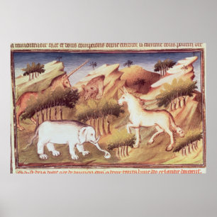 Mythische Tiere in der Natur Poster