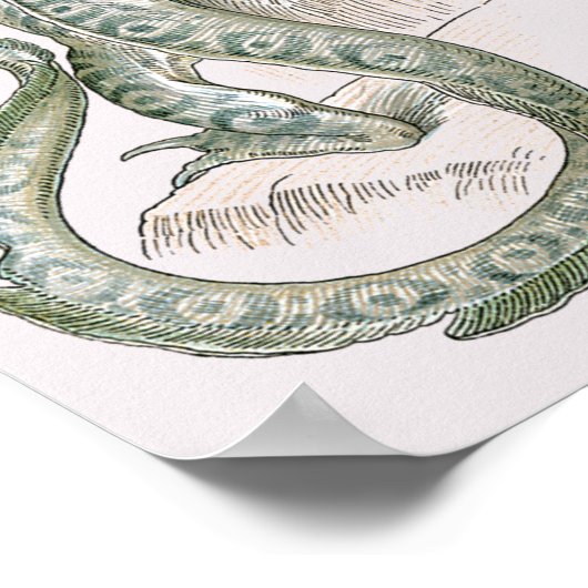 Mythischer Lippendrache, Vintage Mythologie Poster (Ecke)