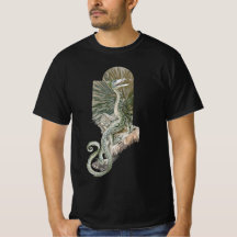 Mythischer Lippendrache, Vintage Mythologie