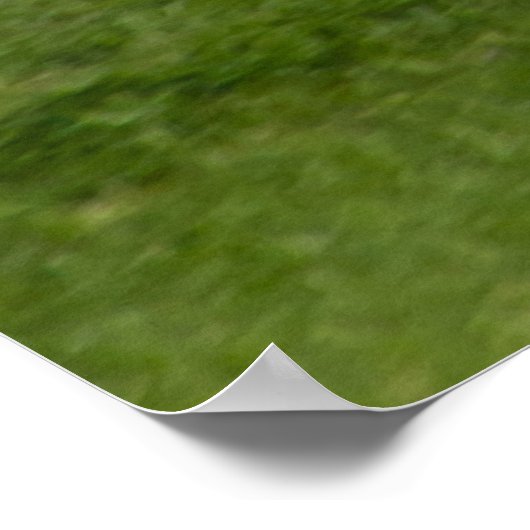 N13958 ERJ-145LR POSTER (Ecke)