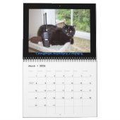N4BWR Ham Radio und Cat Calendar Kalender (Mär 2026)
