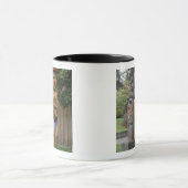 N.A., Kanada, British Columbia, Vancouver 2 Tasse (Zentrum)