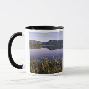 N.A., Kanada, Neufundland, Gros Morne National Tasse
