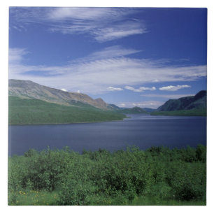 N.A., Kanada, Neufundland, Grose Morne Trout Fliese