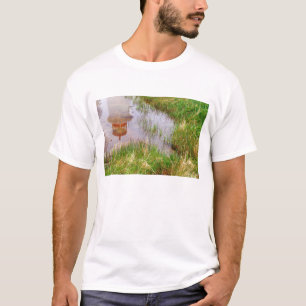 N.A. Kanada, Nova Scotia, Peggy's Cove. T-Shirt