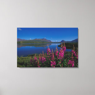 N.A., USA, Alaska, Alaska-Gebirgszug Common Leinwanddruck