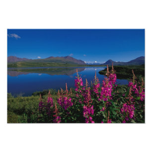 N.A., USA, Alaska, Alaska-Gebirgszug Fotodruck