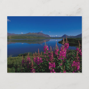 N.A., USA, Alaska, Alaska Range Common Postkarte