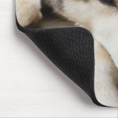N.A., USA, Alaska Husky-Schlitten Mousepad (Ecke)