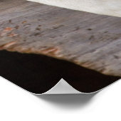 N.A., USA, Alaska Husky-Schlitten Poster (Ecke)