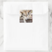 N.A., USA, Alaska Husky-Schlitten Quadratischer Aufkleber (Tasche)