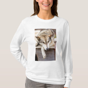 N.A., USA, Alaska. Husky-Schlittenhunde T-Shirt