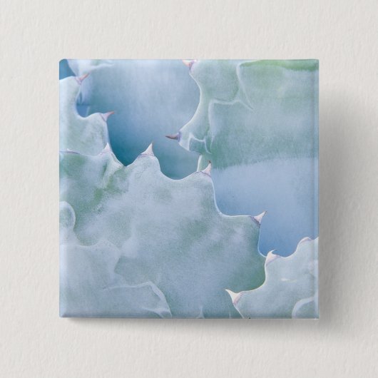 N.A., USA, Arizona, Tucson, Sonora Desert 2 Button (Vorderseite)