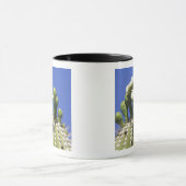 N.A., USA, Arizona, Tucson, Sonora Desert 2 Tasse (Zentrum)