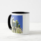 N.A., USA, Arizona, Tucson, Sonora Desert 2 Tasse (Vorderseite Links)