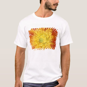 N.A., USA, Arizona, Tucson, Sonora Desert 3 T-Shirt