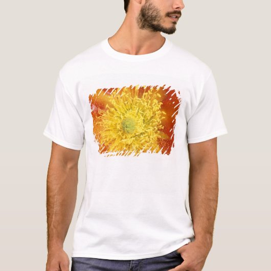 N.A., USA, Arizona, Tucson, Sonora Desert 3 T-Shirt (Vorderseite)