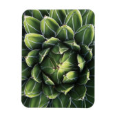 N.A., USA, Arizona, Tucson, Sonora Desert Magnet (Vertikal)