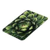 N.A., USA, Arizona, Tucson, Sonora Desert Magnet (Linke Seite)