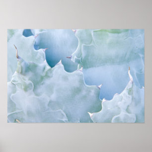 N.A., USA, Arizona, Tucson, Sonora Desert Poster