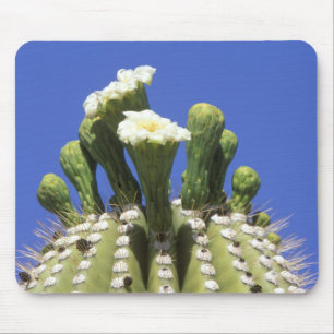 N.A., USA, Arizona, Tucson, Sonora-Wüste 2 Mousepad