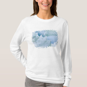 N.A., USA, Arizona, Tucson, Sonora-Wüste 2 T-Shirt