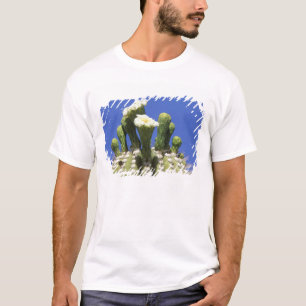 N.A., USA, Arizona, Tucson, Sonora-Wüste 2 T-Shirt