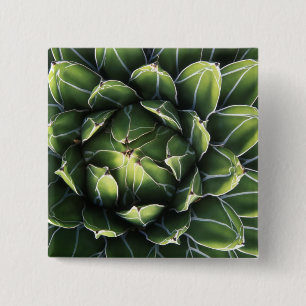 N.A., USA, Arizona, Tucson, Sonora-Wüste Button