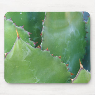 N.A., USA, Arizona, Tucson, Sonora-Wüste Mousepad