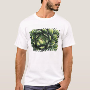 N.A., USA, Arizona, Tucson, Sonora-Wüste T-Shirt