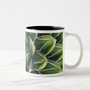 N.A., USA, Arizona, Tucson, Sonora-Wüste Zweifarbige Tasse