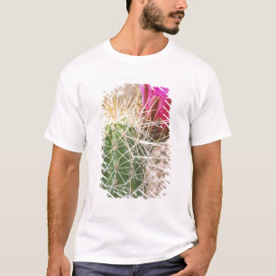 N.A., USA, AZ, Phoenix, Botanischer Garten der Wüs T-Shirt