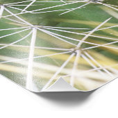 N.A., USA, AZ, Phoenix, Wüste Botanical 2 Fotodruck (Ecke)