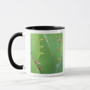 N.A., USA, AZ, Phoenix, Wüste Botanical 2 Tasse