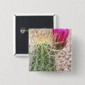 N.A., USA, AZ, Phoenix, Wüste Botanical Button (Vorne & Hinten)