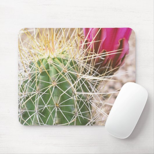 N.A., USA, AZ, Phoenix, Wüste Botanical Mousepad (Mit Mouse)