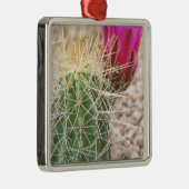 N.A., USA, AZ, Phoenix, Wüste Botanical Silbernes Ornament (Rechts)