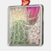 N.A., USA, AZ, Phoenix, Wüste Botanical Silbernes Ornament (Links)