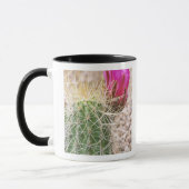 N.A., USA, AZ, Phoenix, Wüste Botanical Tasse (Links)