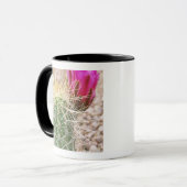 N.A., USA, AZ, Phoenix, Wüste Botanical Tasse (Vorderseite Links)