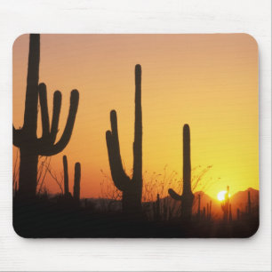 N.A., USA, AZ, Saguaro NP, Saguaro-Sonnenuntergang Mousepad