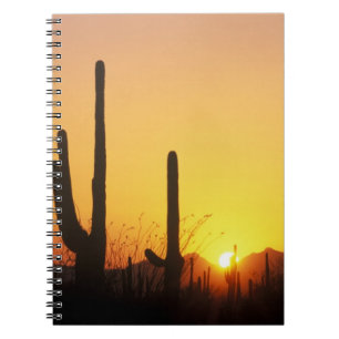 N.A., USA, AZ, Saguaro NP, Saguaro-Sonnenuntergang Notizblock