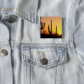 N.A., USA, AZ, Saguaro NP, Saguaro Sunset Button (Beispiel)
